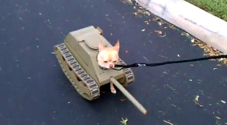 Dog Tank Costume for Halloween