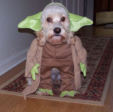 Yoda Halloween Costume for Dogs