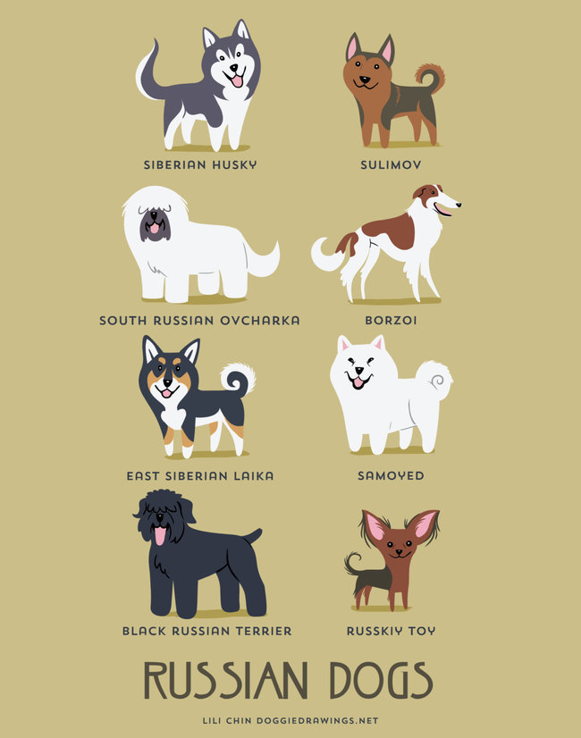 dogs-of-the-world-8